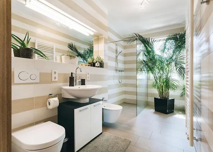 公寓 Stilvolle 4-raumwohnung In Zentraler Lage 德累斯顿